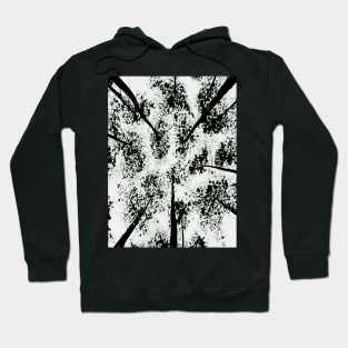 Upward view of trees Hoodie